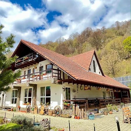 Pensiunea Piatra-Craiului Zărneşti Esterno foto