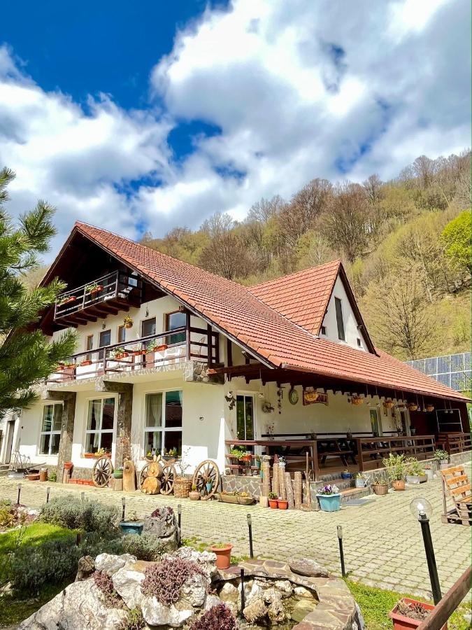 Pensiunea Piatra-Craiului Zărneşti Esterno foto